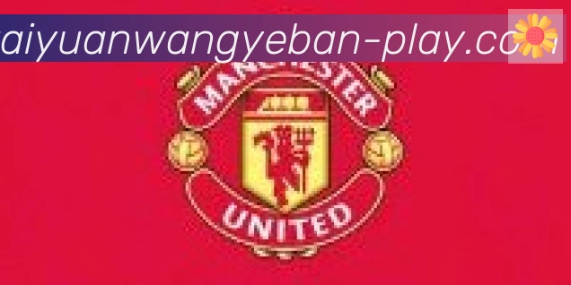 开元官网网页版体育合作伙伴